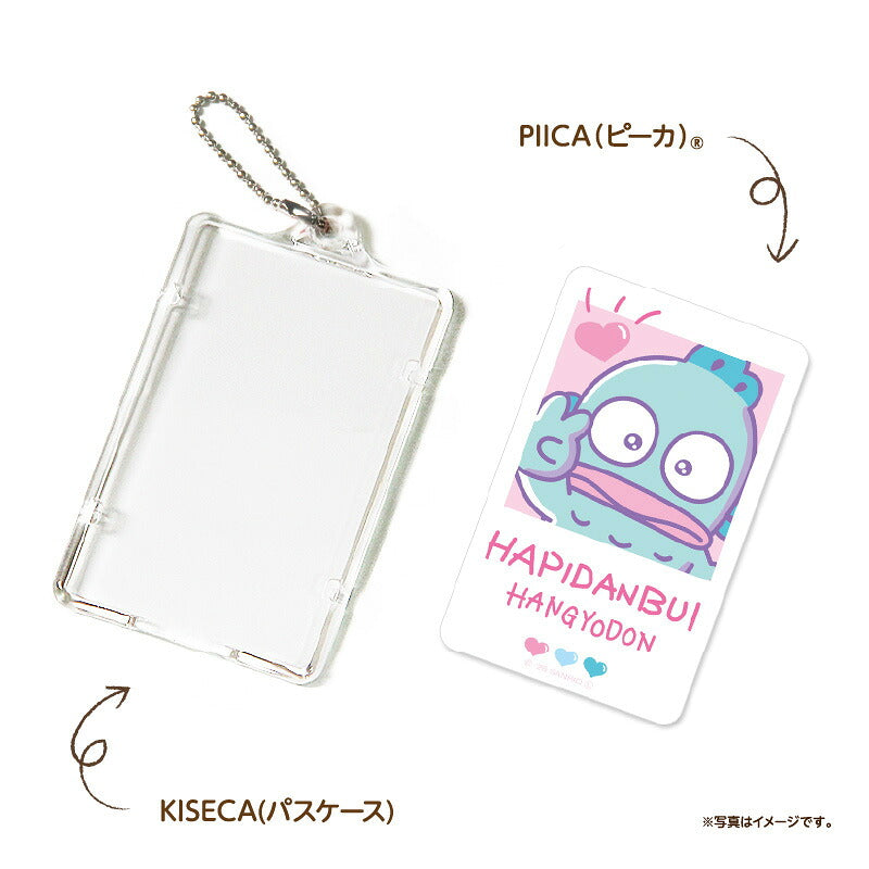 はぴだんぶい アイドルに憧れて ハンギョドン PIICA+クリアICカードケース ⇒ 光るパスケース 光るICカード 定期入れ ICカード 交通系IC 社員証 IDカード piica  sanrio サンリオ