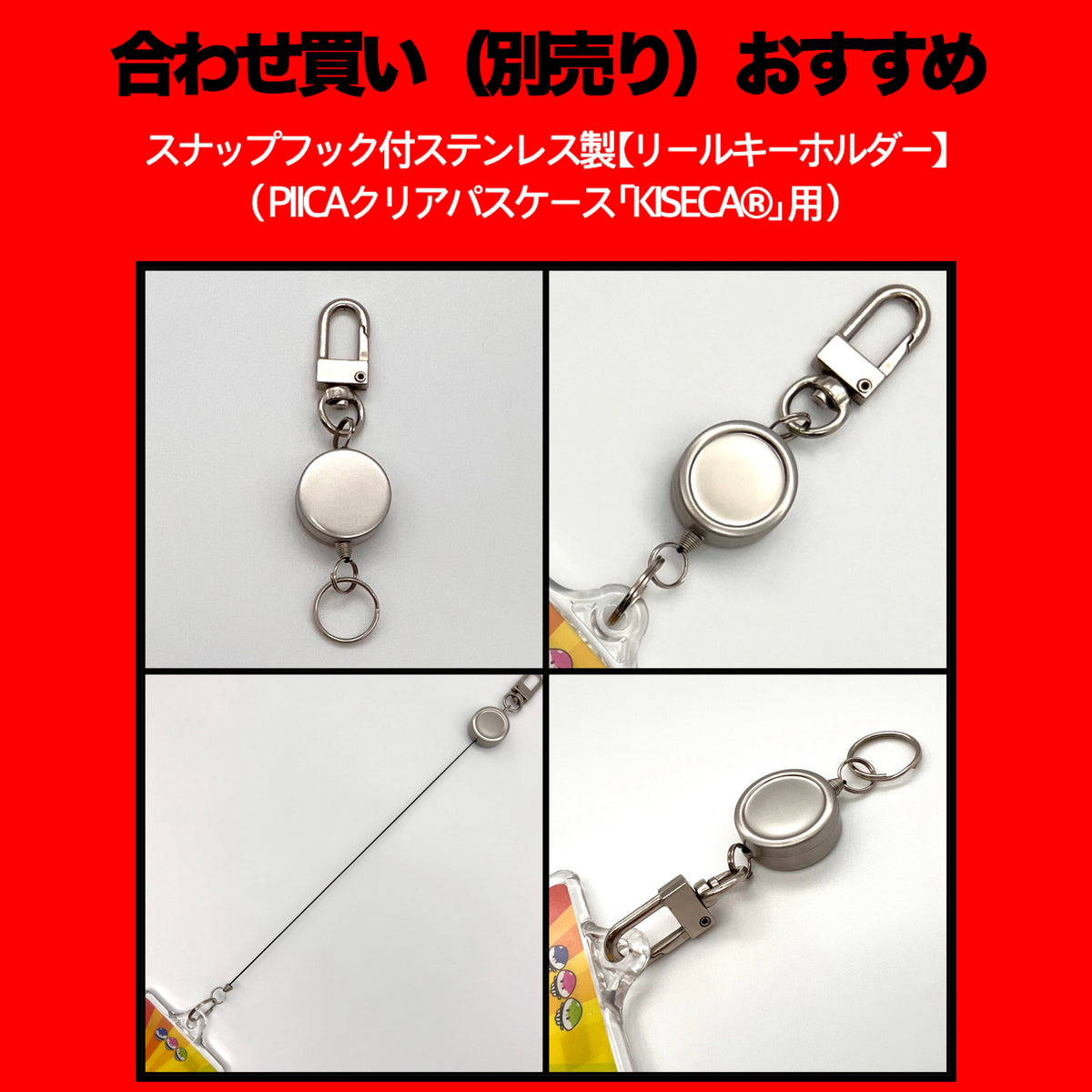 PIICA説明