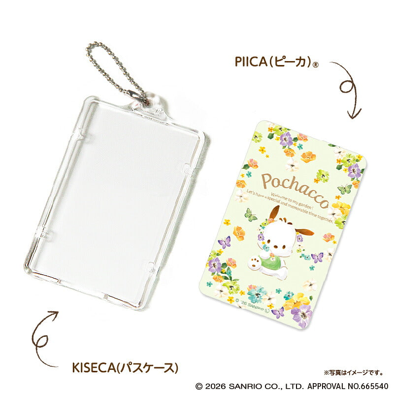  パステルビビットな水彩絵柄 ポチャッコ PIICA+クリアICカードケース ⇒ 光るパスケース 光るICカード 定期入れ ICカード 交通系IC 社員証 IDカード piica  sanrio サンリオ